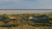 Dünen und der breite Kniepsand bei Wittdün auf Amrum